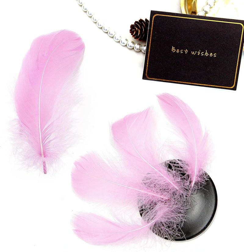 Lamar Feather 300pcs Lavender Feathers 2-3 Inches Bulk Feathers for Crafting, Dream Catcher Accessories, Art Projects, DIY Crafting, Handi Crafts, Party Decoration (Lavender) - Image 5